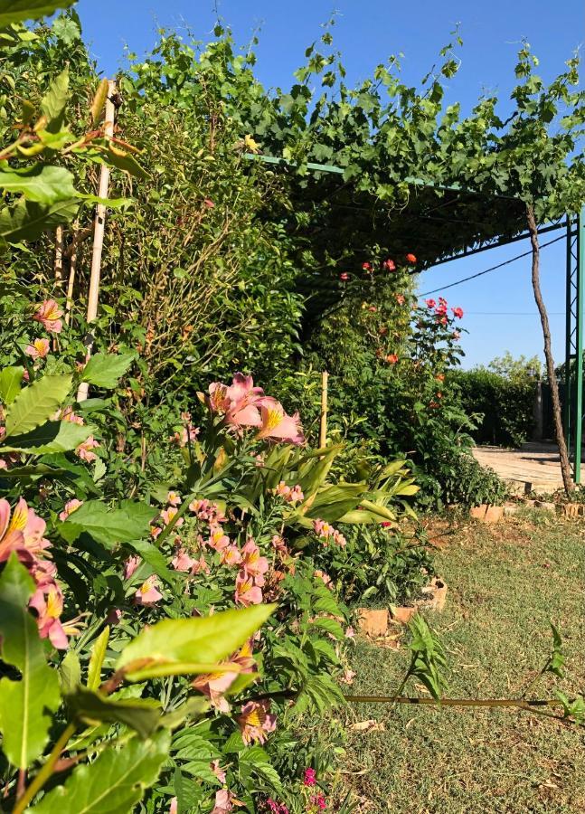 Appartamento Da Vjeri Póla Kültér fotó